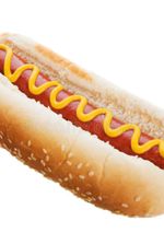 Hotdog